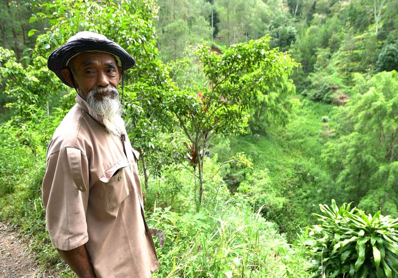 Devoted Eco-Warriors Selflessly Planting Forests on Their Own