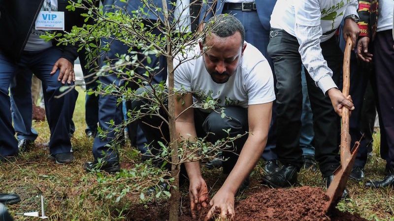 Prime Minister Abiy Ahmed - Eco-Warriors Have Selflessly Been Planting Forests
