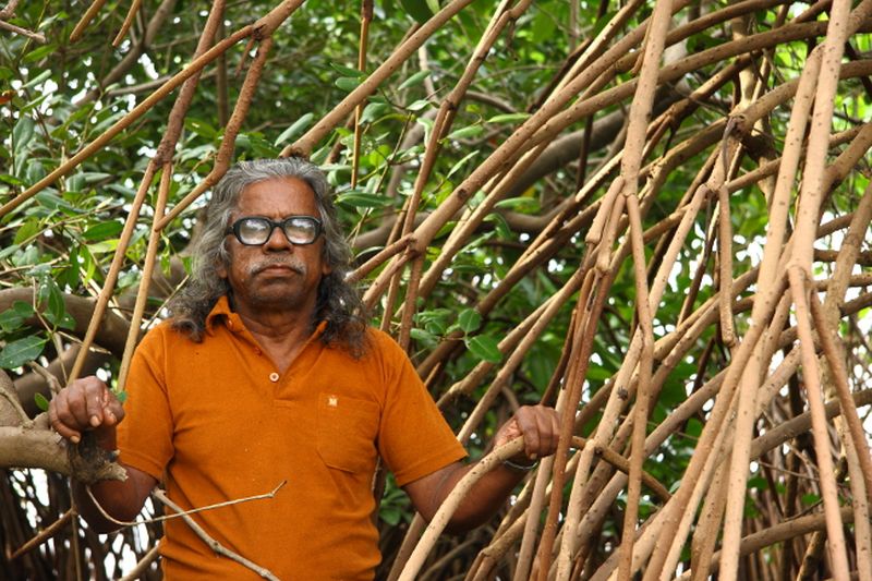 Kallen Pokuddan - Eco-Warriors Have Selflessly Been Planting Forests