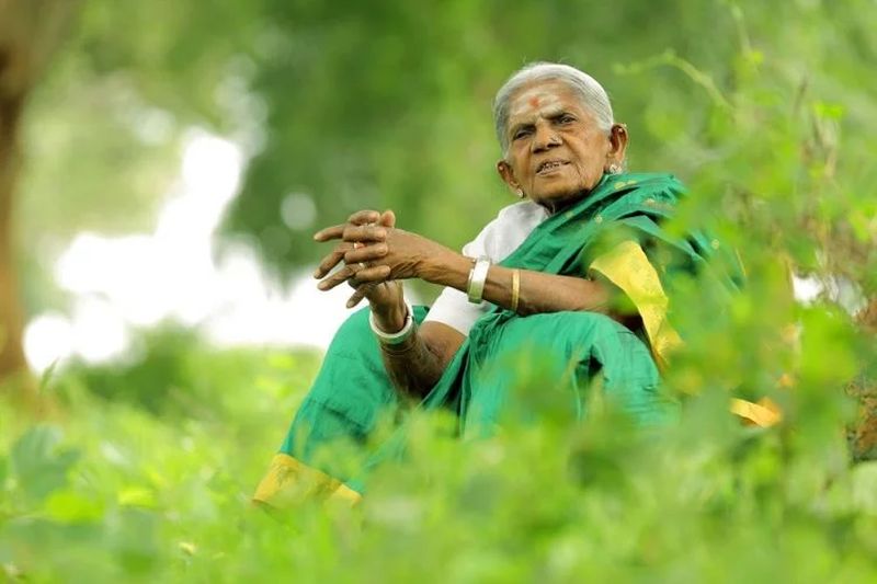 Saalumarada Thimmakka - Eco-Warriors Have Selflessly Been Planting Forests