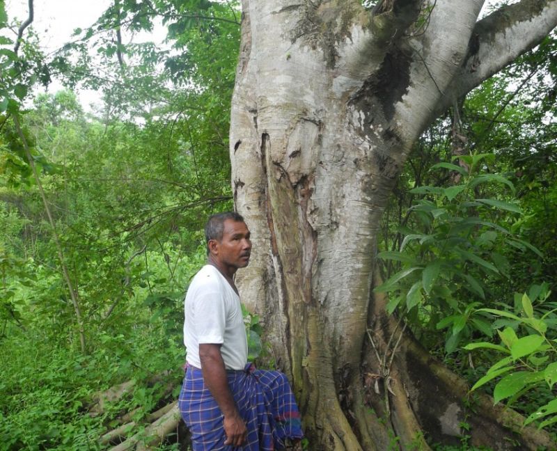 Jadav Payeng lives in Majuli in Assam, India - Eco-Warriors Have Selflessly Been Planting Forests