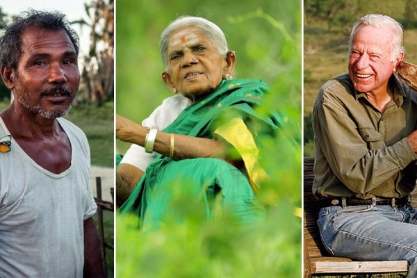 Selfless People Planting Forests on Their Own