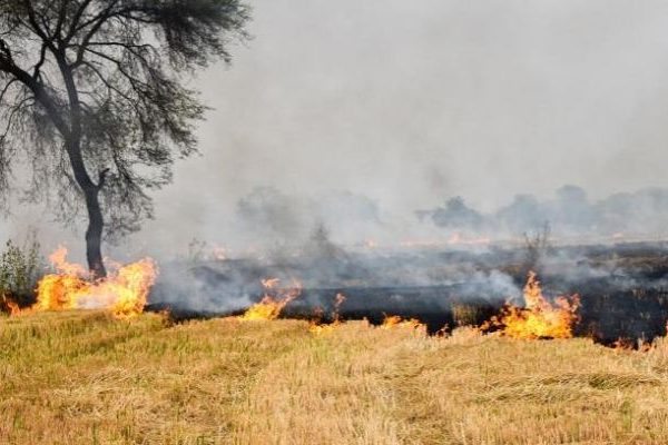 Stubble Burning in Neighboring States Continues to Worsen the Air Quality in Delhi