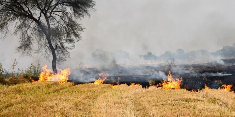 India Contributes Highest Crop Burning-Related Emissions Globally, Report
