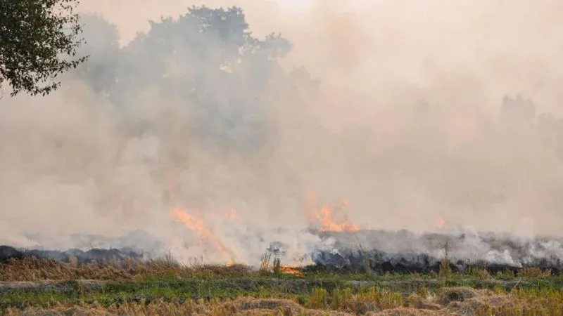 Stubble Burning in Neighboring States Continues to Worsen the Air Quality in Delhi