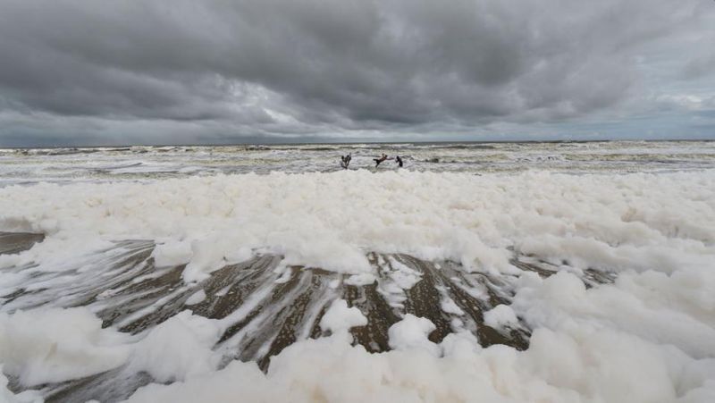 Disturbing Pictures of Marina Beach Covered in Toxic Foam Indicate Pollution Hazard