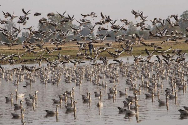 10 New Wetlands in India Declared as Ramsar Sites