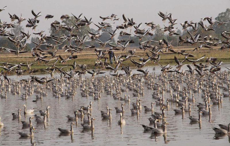 10 New Wetlands in India Declared as Ramsar Sites