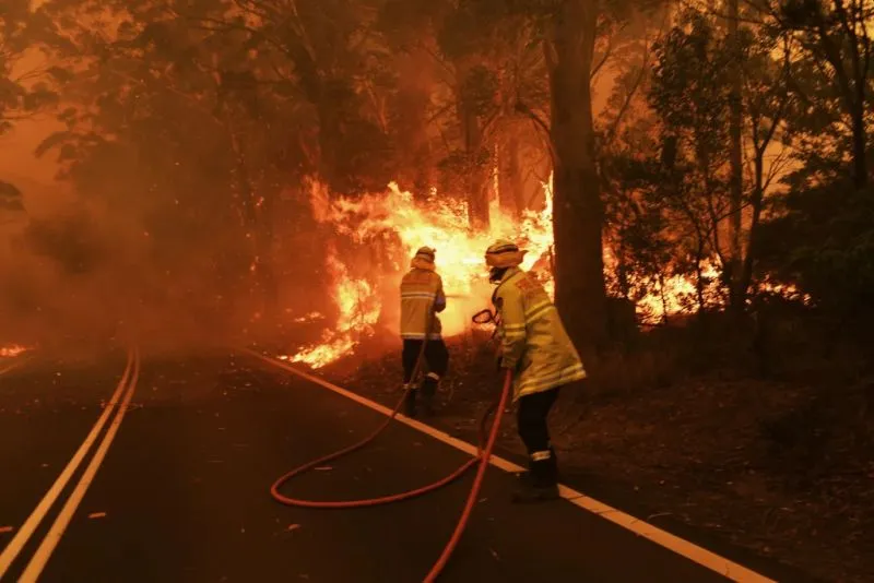 Catastrophic Bushfires in Australia Could Drastically Change the Country Forever