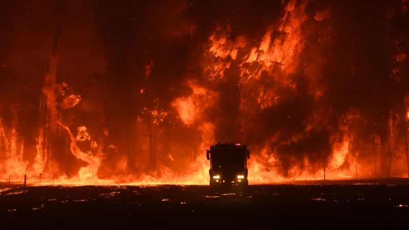 Catastrophic Bushfires in Australia Could Drastically Change the Country Forever