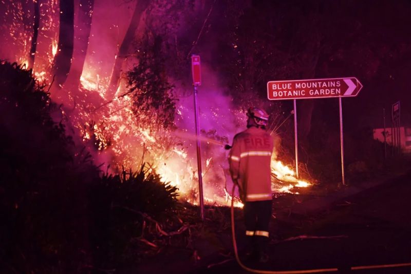 Catastrophic Bushfires in Australia Could Drastically Change the Country Forever