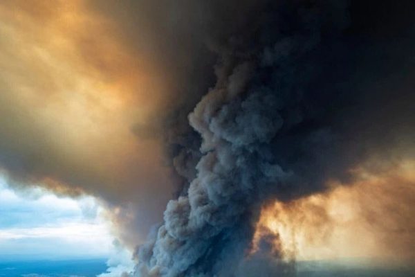 Catastrophic Bushfires in Australia Could Drastically Change the Country Forever