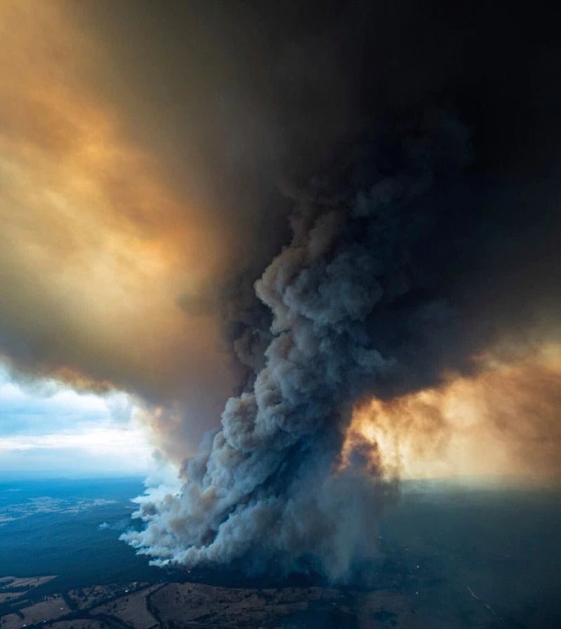 Catastrophic Bushfires in Australia Could Drastically Change the Country Forever