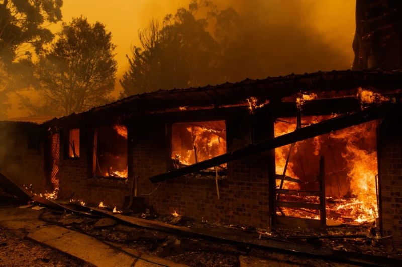 Catastrophic Bushfires in Australia Changing Country through Death and Destruction