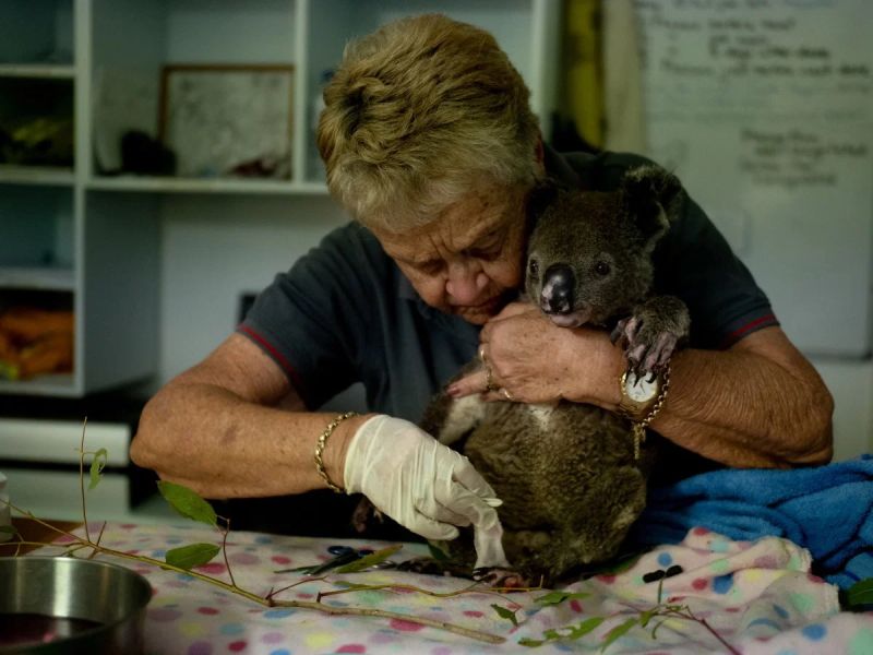 Catastrophic Bushfires in Australia Changing Country through Death and Destruction