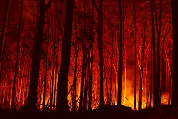 Catastrophic Bushfires in Australia Changing Country through Death and Destruction