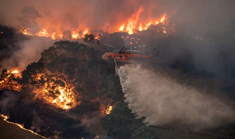 Catastrophic Bushfires in Australia Could Drastically Change the Country Forever