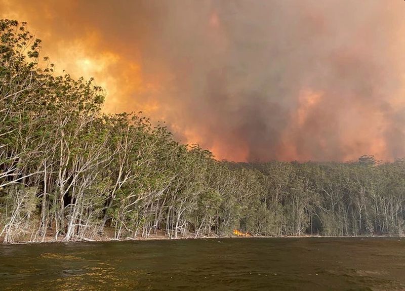 Catastrophic Bushfires in Australia Could Drastically Change the Country Forever