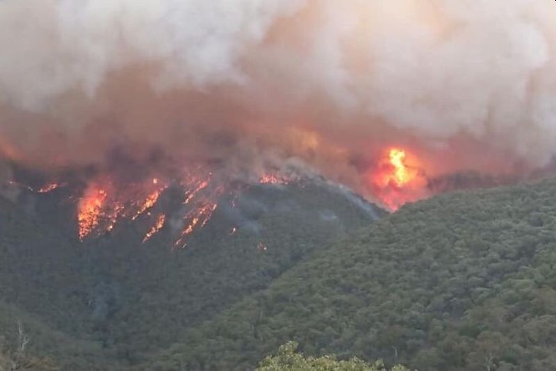 Catastrophic Bushfires in Australia Could Drastically Change the Country Forever