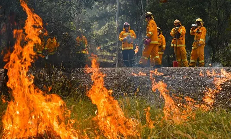 Catastrophic Bushfires in Australia Could Drastically Change the Country Forever