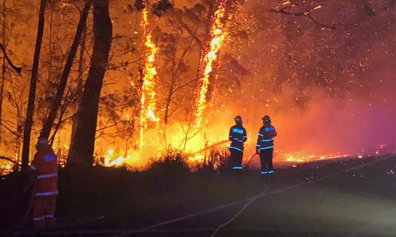 Catastrophic Bushfires in Australia Could Drastically Change the Country Forever