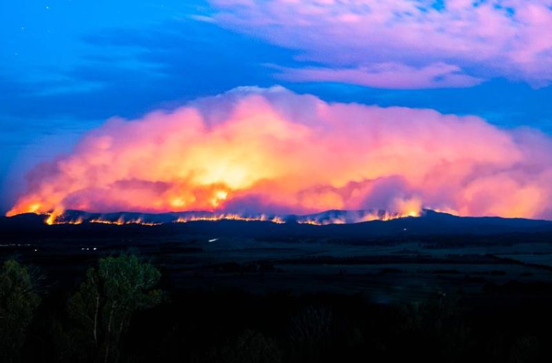 Catastrophic Bushfires in Australia Could Drastically Change the Country Forever