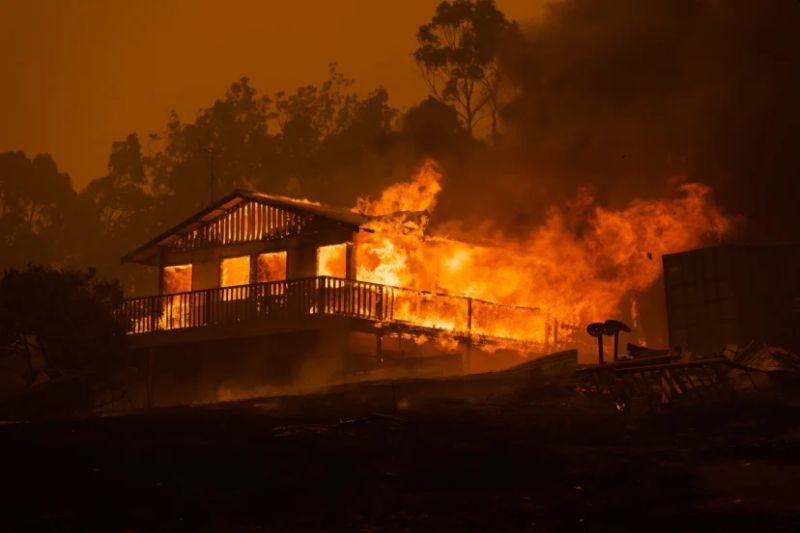 Catastrophic Bushfires in Australia Changing Country through Death and Destruction