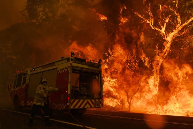 Catastrophic Bushfires in Australia Could Drastically Change the Country Forever