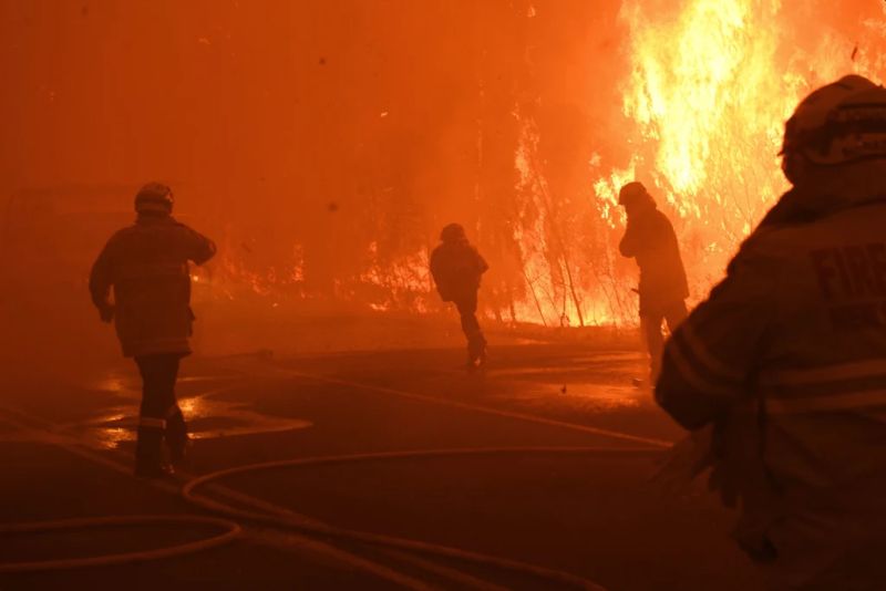 Catastrophic Bushfires in Australia Could Drastically Change the Country Forever