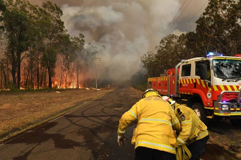 Catastrophic Bushfires in Australia Could Drastically Change the Country Forever