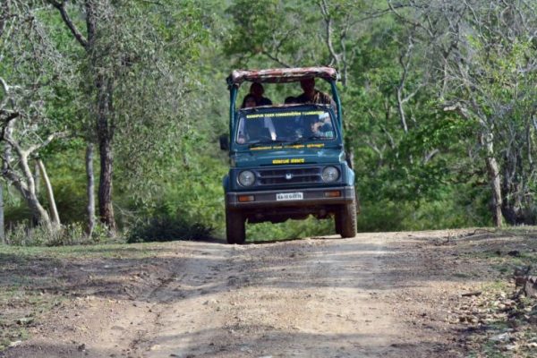 “Free Safari” for Farmers in Bandipur Forest to Prevent Man-Made Fires