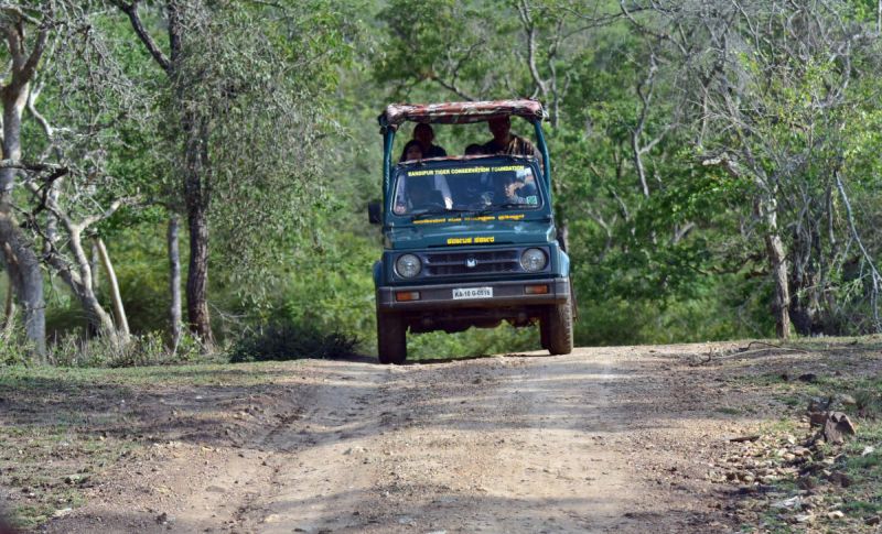 “Free Safari” for Farmers in Bandipur Forest to Prevent Man-Made Fires