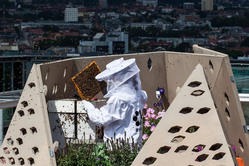 Norway's Bee highway - Biological Corridors in the world 