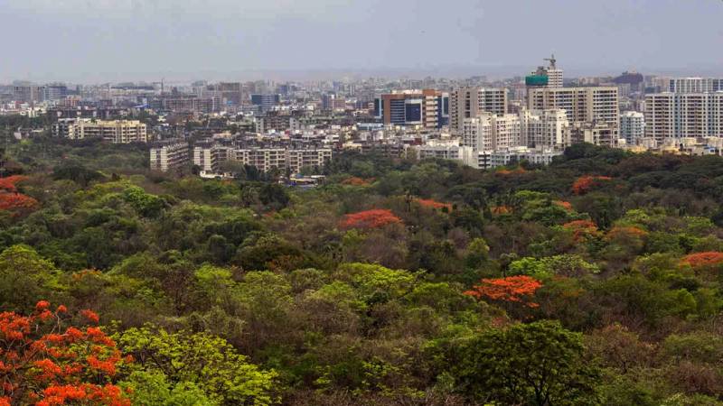 Aarey Milk Colony Forest Cover