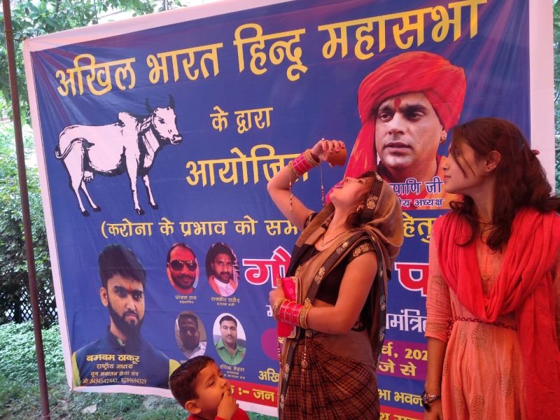 Hindu Group Offers Cow Urine at Gaumutra Party to Ward off Coronavirus