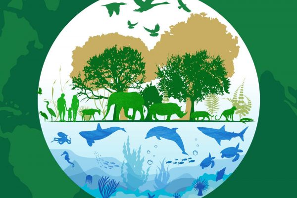 World Wildlife Day 2020