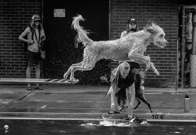 2020 Sony World Photography Awards Exhibit Beautiful Glimpse of Life Around the World