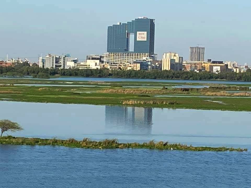 Clean Yamuna River - Coronavirus Lockdown