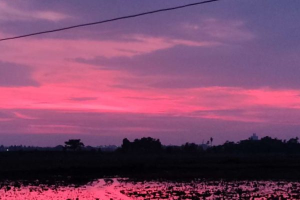 Cyclone Amphan Paints the Sky in Shades of Pink and Purple in Bhuvneshwar