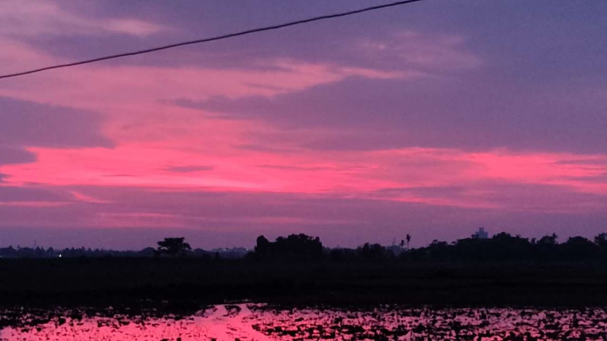 Cyclone Amphan Paints the Sky in Shades of Pink and Purple in Bhuvneshwar