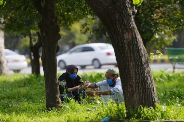 Coronavirus Put thousands Out of Work in Pakistan, Government Hires Them to Plant Trees