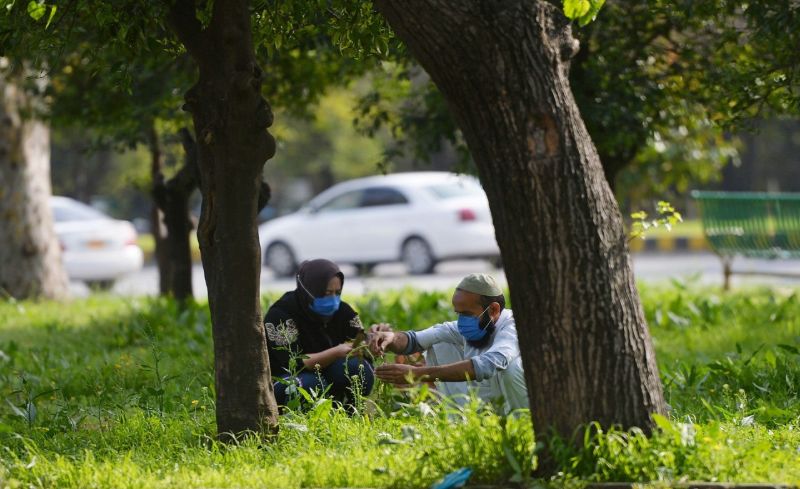 Coronavirus Put thousands Out of Work in Pakistan, Government Hires Them to Plant Trees