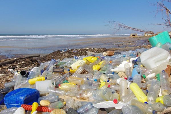 Plant-Based Bottles Have Entered the Battle Against Plastic Pollution