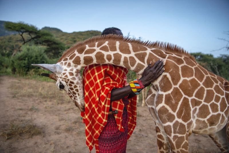 Winning Shots of 2020 BigPicture Natural World Photography Competition