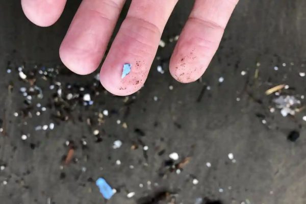 Plastic Rain in National Parks and Forests of United States