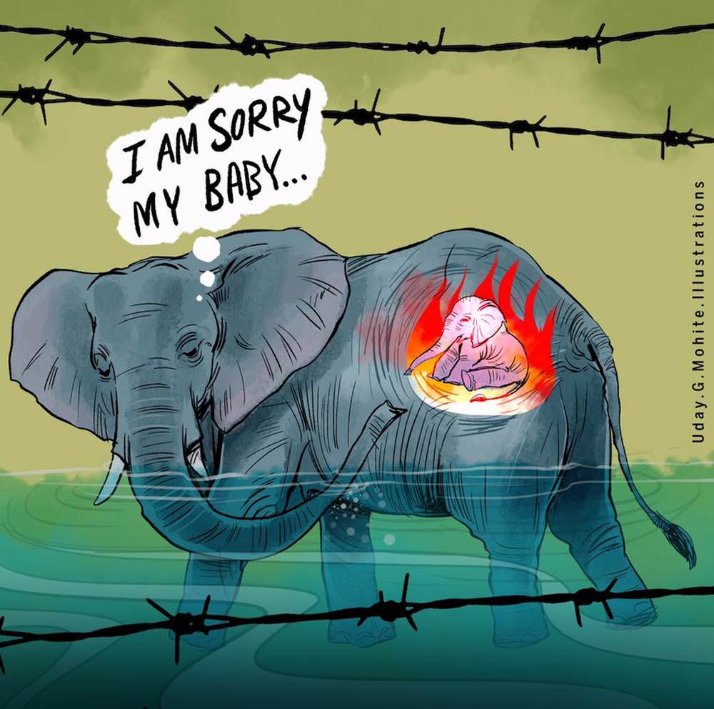 Pregnant Elephant Killed in Kerala - Artwork