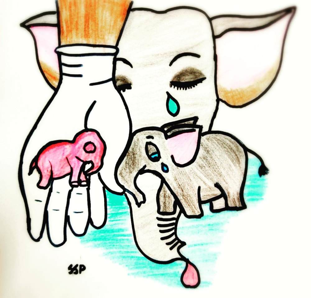 Pregnant Elephant Killed in Kerala - Artwork