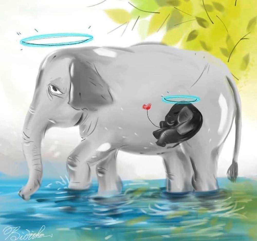 Pregnant Elephant Killed in Kerala - Artwork