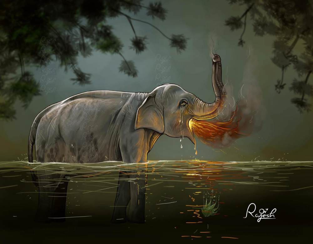 Pregnant Elephant Killed in Kerala - Artwork