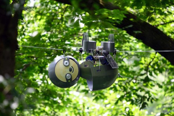 Slow-Moving SlothBot Hangs Around Monitoring Its Surroundings in Atlanta Botanical Garden